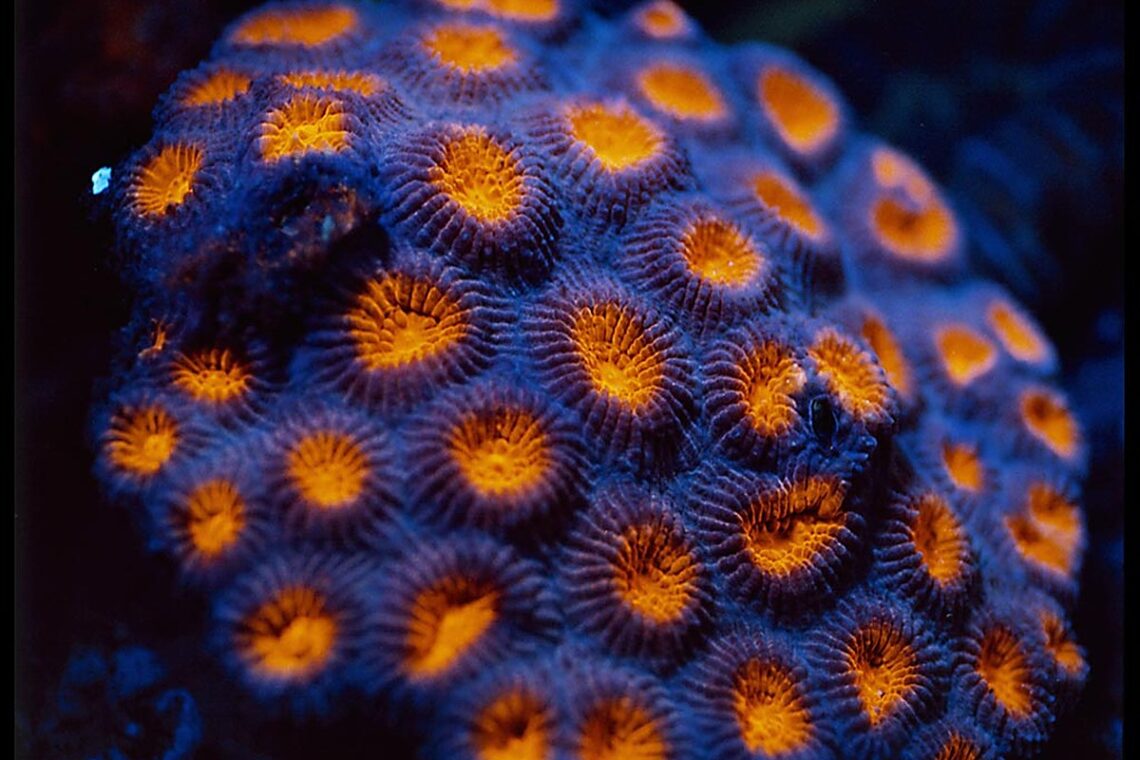 测试的文章